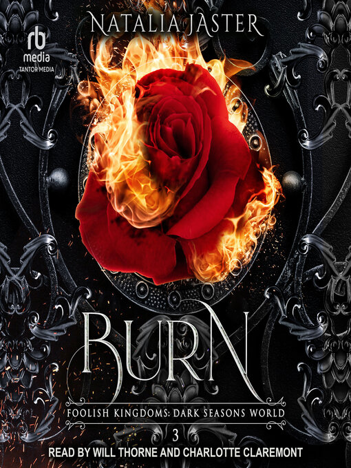 Cover image for Burn